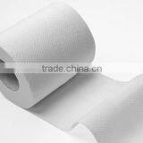 Enzyme for Tissue Paper Making