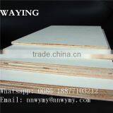 Douglas Fir Plywood thumbnail-6