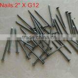 Electro Galvanized Common Wire Nail/common Iron Wire Nails/bright Common Nails Factory thumbnail-3