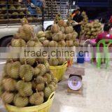 Durian thumbnail-6