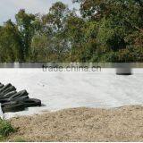 Muti-layer Sheeting Film for Silage Protection thumbnail-2