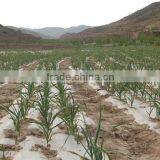 8 Row no Till Precision Pneumatic Garlic Planting Seeder Machine for Various Land thumbnail-6