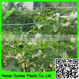 Heavy Duty Long-lasting Flexible Trellis Netting Mesh Squares Plant Support Net thumbnail-3