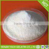 Gelatin Production Line thumbnail-1