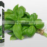 Basil Oil thumbnail-2