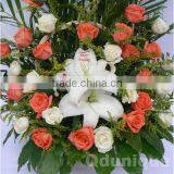 Cheap and Hot Sale Speaking Flower Printer thumbnail-3