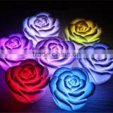 Solar Led Holiday Lights