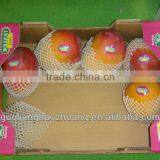 Fruit Protecting Net thumbnail-1