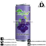 Blackcurrant Fruit Juice Drink