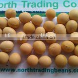 Chinese Yellow Soya beans( 2011 crop, Heilongjiang Origin)