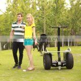 Golf Moped Electric Skateboard 1000w