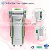 Newest Fda Approval Cryolipolysis Slimming Machine Fat Freeze Weight Loss Cryolipolyse Slimming Device thumbnail-2