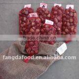 New Crop Chinese Chestnut thumbnail-1