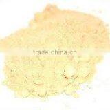 Ginger Powder thumbnail-1