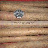 Chinese Fresh Wild Yam Powder P.E. 16% thumbnail-1