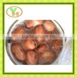 400g Canned Fava Beans Manufacturer in China thumbnail-4