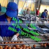 Automatic Egg Weighing Grading Machine/egg Grading Packing Machine/egg Grader for Packing thumbnail-4