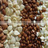 100% Nature Apricot Kernel Seeds thumbnail-4