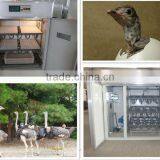 Multi-function Ostrich Egg Incubator Price in Nigeria