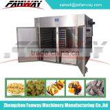 forced air circulation Cabinet food drying oven