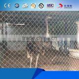 10'x10'x6' Chain Link Dog Cage thumbnail-3