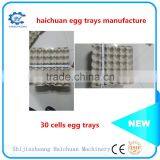 30 Holes Pulp Paper Disposable Egg Carton thumbnail-3