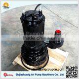Canal and River Irrigation Submersible Slurry Sewage Water Pump thumbnail-2