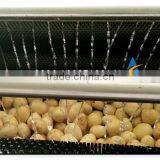 Ginger Processing Machine Industrial Ginger Washing Peeling Machine thumbnail-3