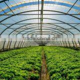 Indoor Garden LED Greenhouse Plant Growth Promoter Full Spectrum 45W LED Grow Light thumbnail-4