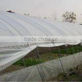 Low Cost Single-span Greenhouse Film Hoops thumbnail-4