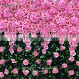 SAST-70001 Cheap Fake Flower Wedding Flower Wall Real Touch Artificial Flower Wall thumbnail-4
