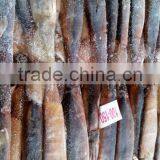 Frozen Illex Argentinus Squid Price thumbnail-2