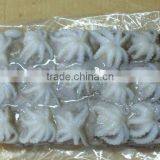 Baby Octopus Whole thumbnail-3