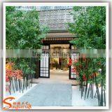 Wholesale China Supplier Artificia Bamboo High Quality Plastic Artificial Bamboo thumbnail-5