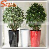 Large Outdoor Bonsai Trees Banyan Wholesale Bonsai Trees Ficus Microcarpa Bonsai Trees thumbnail-2