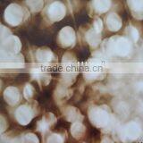 New PVC Synthetic Leather With Flower Print Design