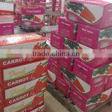 Wholesale Chinese Fresh Carrots With High Quality and Good Price thumbnail-5