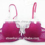 Stylish Style Fancy Mesh Sexy Women Sexy Bra Ladies Underwear thumbnail-1