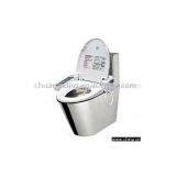 Multi-functional Stainless Steel Toilet