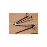 Common Nails thumbnail-1