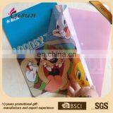 China Manufacture custom printed a4 size plastic file folder sheets