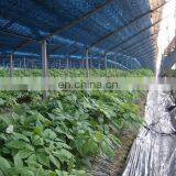 Black Shade Net 30%, Dubai Green Shade Net 40% 50% 60% 70% thumbnail-4