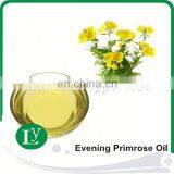 Medical Industry Almond Oil Plant/ Almond Oil Refined Producing Solution thumbnail-6