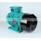 YS AC MOTOR 37KW 50HP Aluminum House Three Phase Electric Motor thumbnail-6