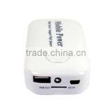 2013 High-Capacity 5000mAh Mobile Power Bank for Mobile Phone/MP4/iPhone/iPad