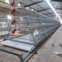 Broiler Cage / Three Story Two Door Three-dimensional Chicken Cage / Chicken Cage thumbnail-5