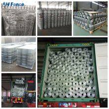 Hot Dipped Galvanized Green PVC Coated Iron Wire for Corrosion Resistance and Aesthetic Appeal in Farm Security Farm Fence Wire thumbnail-6