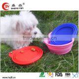 Auto Silicone Pet Bowl thumbnail-1