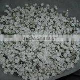 Most Popular New Coming Gypsophila Flower From China thumbnail-2