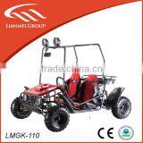 110cc Buggy Kart for Kids With Ce,epa thumbnail-1